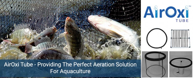 Airoxi Tube - Providing The Perfect Aeration Solution For Aquaculture