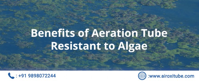 Benefits of Aeration Tube Resistant to Algae