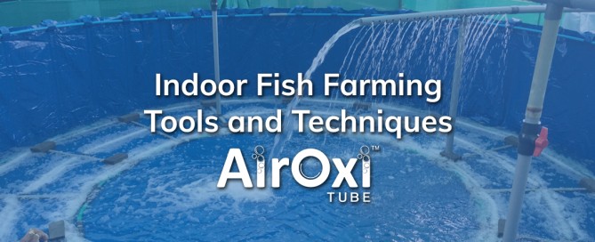 Indoor Fish Farming Tools and Techniques-AirOxi Tube