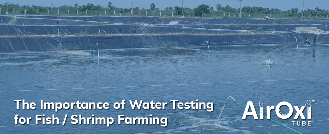 The Importance of Water Testing for Fish / Shrimp Farming