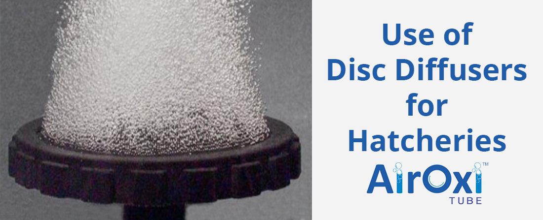 Use of Disc Diffusers for Hatcheries-AirOxi Tube