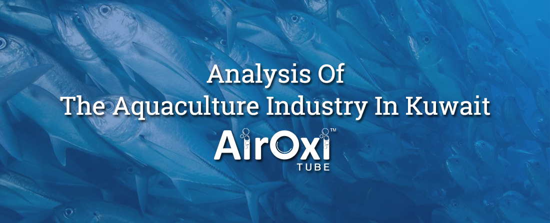 Analysis Of The Aquaculture Industry In Kuwait-AirOxi Tube