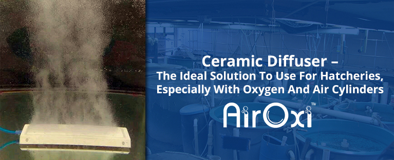 Ceramic Diffuser – The Ideal Solution To Use For Hatcheries, Especially With Oxygen And Air Cylinders