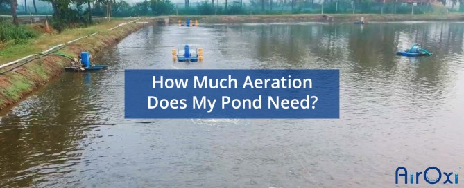 How Much Aeration Does My Pond Need-AirOxi Tube