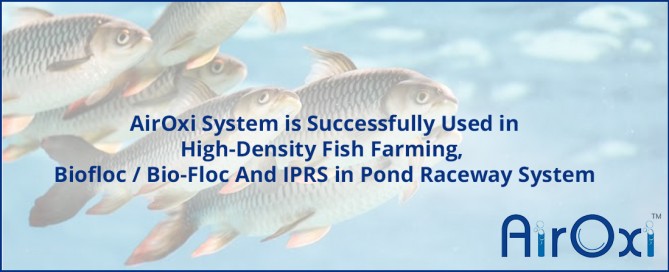 AirOxi System Used in High-Density Fish Farming-AirOxi Tube