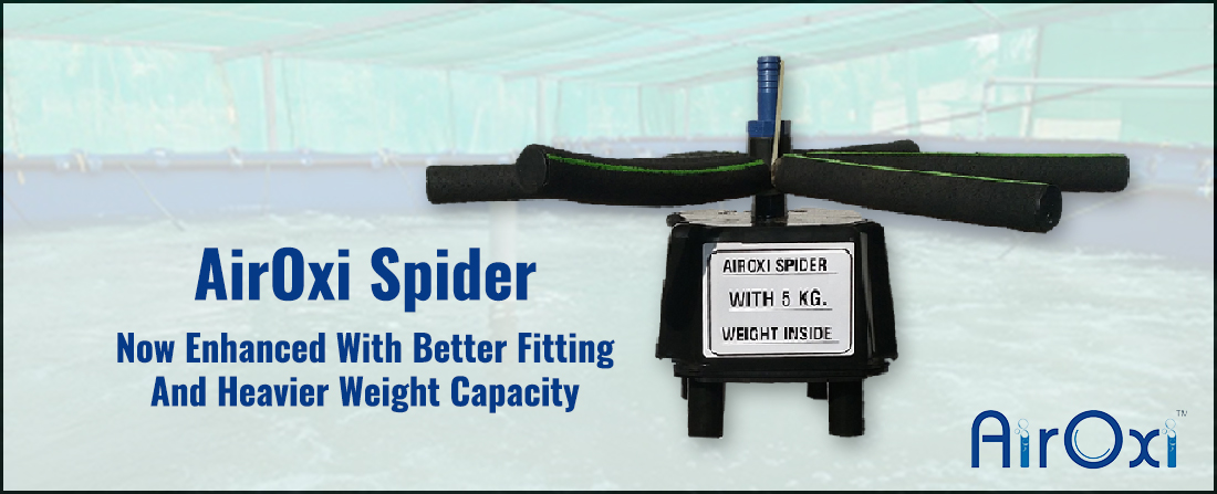AirOxi Spider – Now Enhanced with Better Fitting and Heavier Weight Capacity