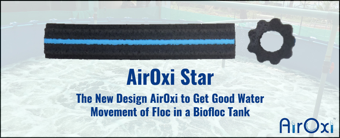AirOxi Star – The New Design AirOxi to Get Good Water Movement of Floc in A Biofloc Tank