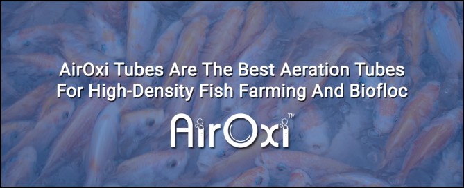 AirOxi Tubes Are The Best Aeration Tubes For High-Density Fish Farming And Biofloc-AirOxi Tube