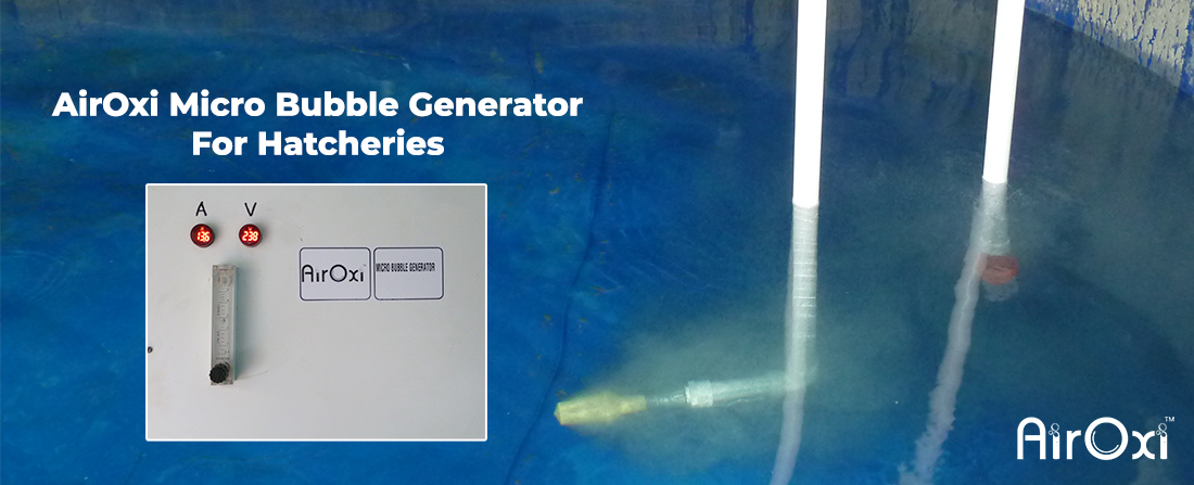 AirOxi Micro Bubble Generator For Hatcheries