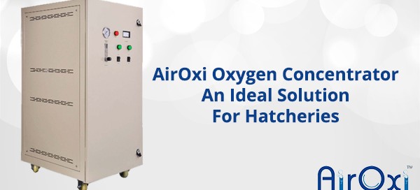 AirOxi Oxygen Concentrator-An Ideal Solution For Hatcheries-AirOxi Tube
