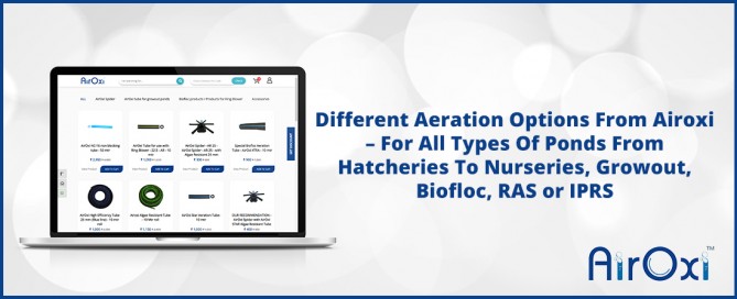 Buy AirOxi Products At The Best Price Directly