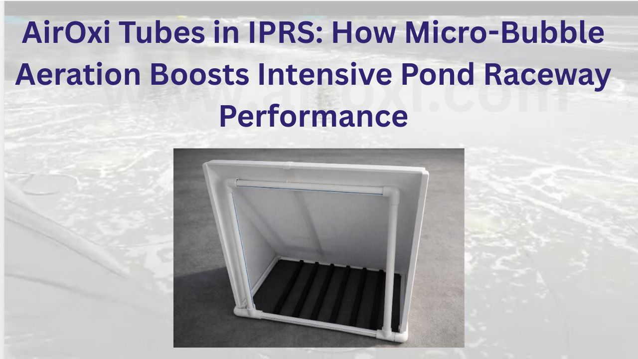 AirOxi Tubes in IPRS: How Micro-Bubble Aeration Boosts Intensive Pond Raceway Performance
